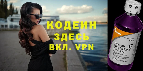стаф Кулебаки