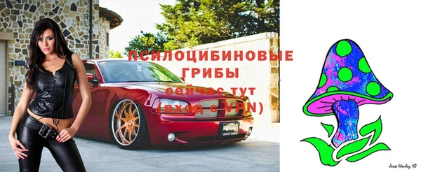 дмт Кукмор