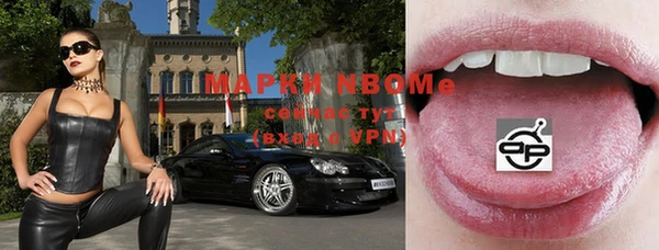 стаф Кулебаки