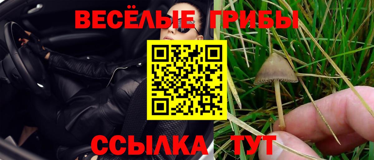 Галлюциногенные грибы Psilocybine cubensis  Симферополь 